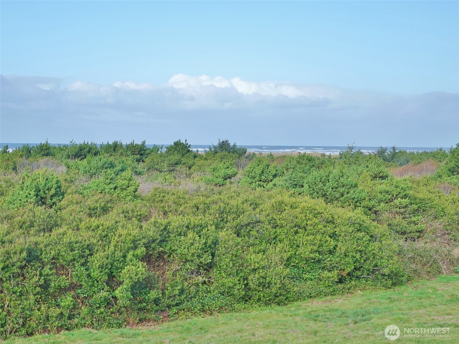 643 Ocean Shores Boulevard 303 Property Photo 6