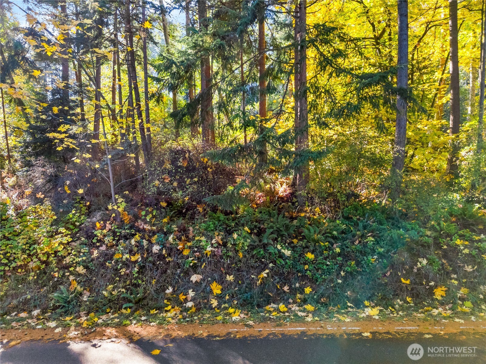 0 Xx Harrington Road Property Photo 6