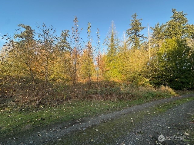 5415 53rd Street Property Photo 3
