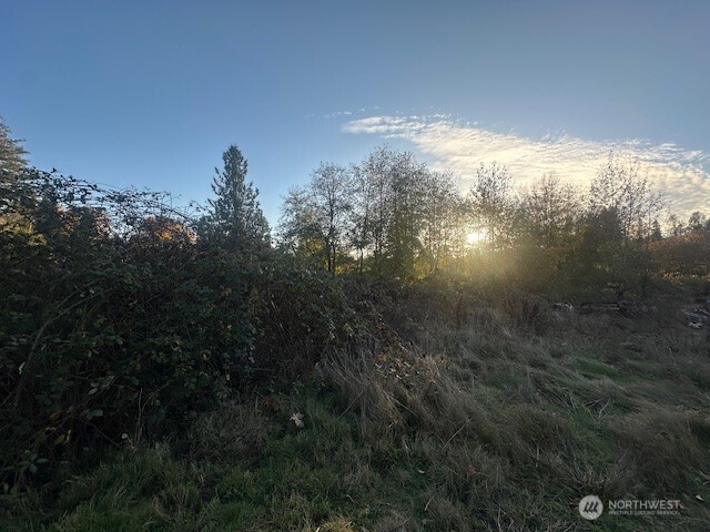 5415 53rd Street Property Photo 7