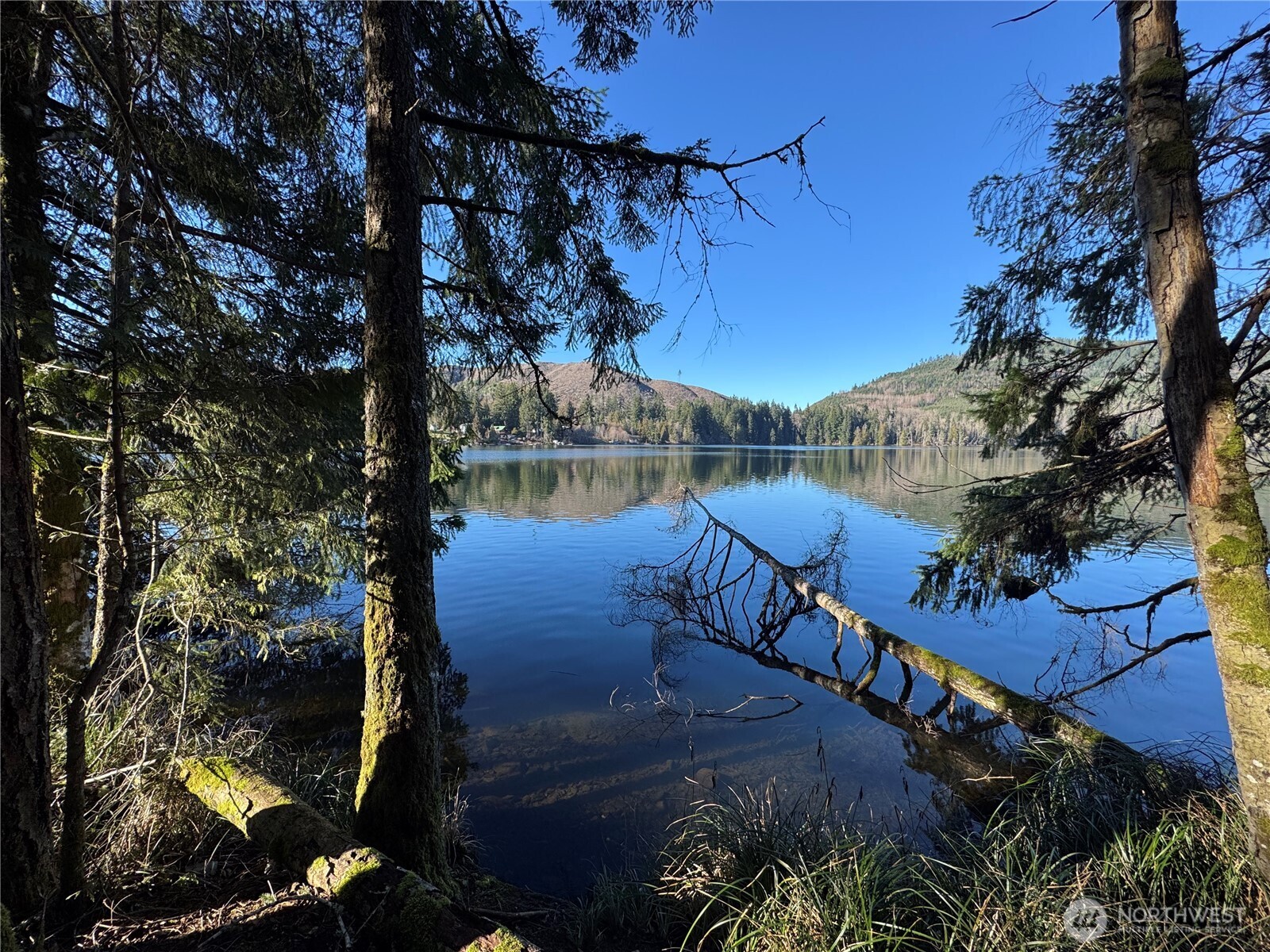 0 Mineral Creek Road Property Photo 1