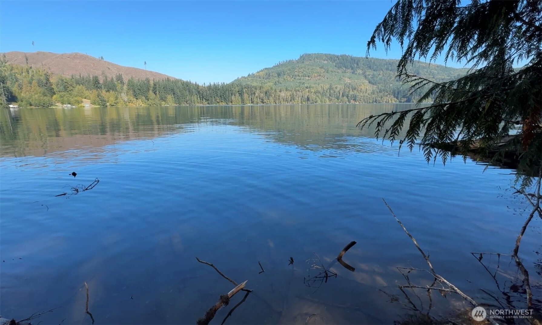 0 Mineral Creek Road Property Photo 2