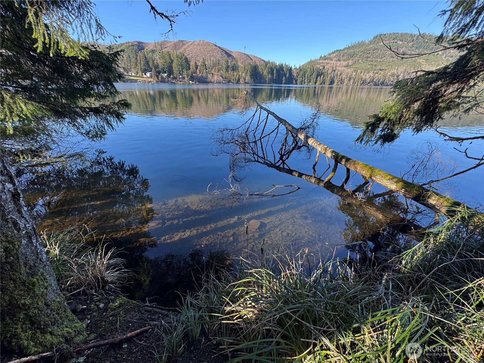 0 Mineral Creek Road Property Photo 3