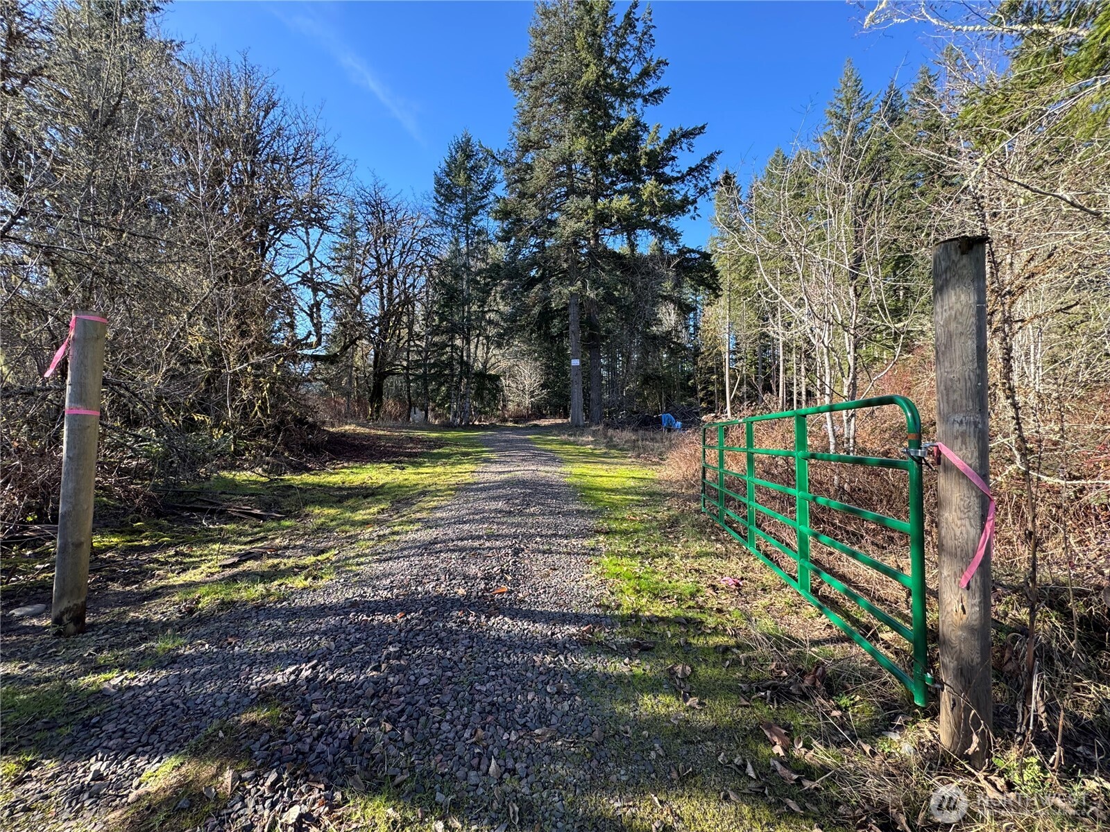 0 Mineral Creek Road Property Photo 4