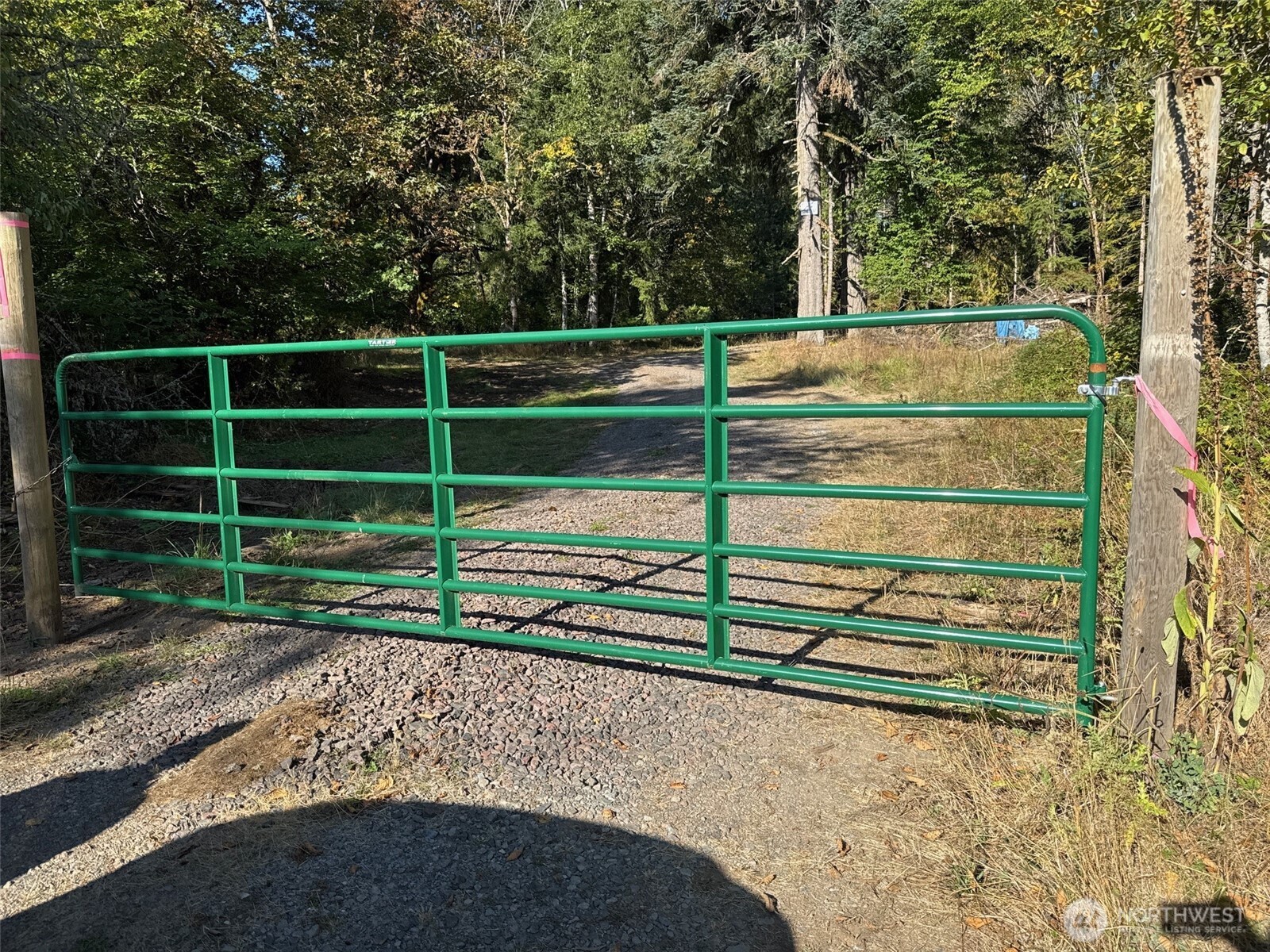 0 Mineral Creek Road Property Photo 5