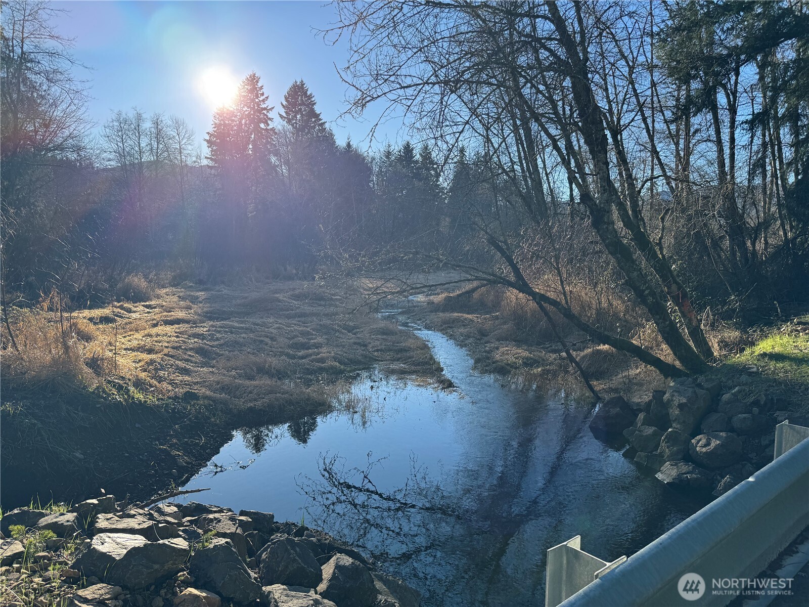 0 Mineral Creek Road Property Photo 7