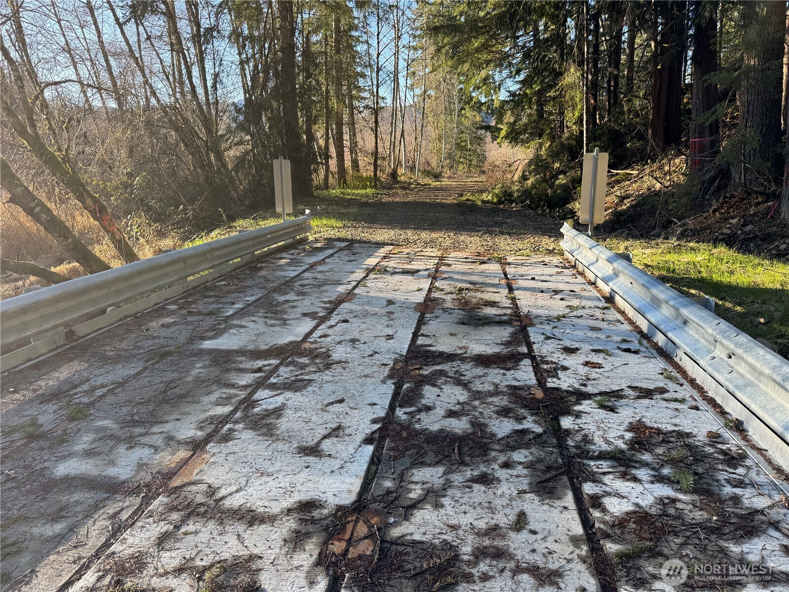 0 Mineral Creek Road Property Photo 8