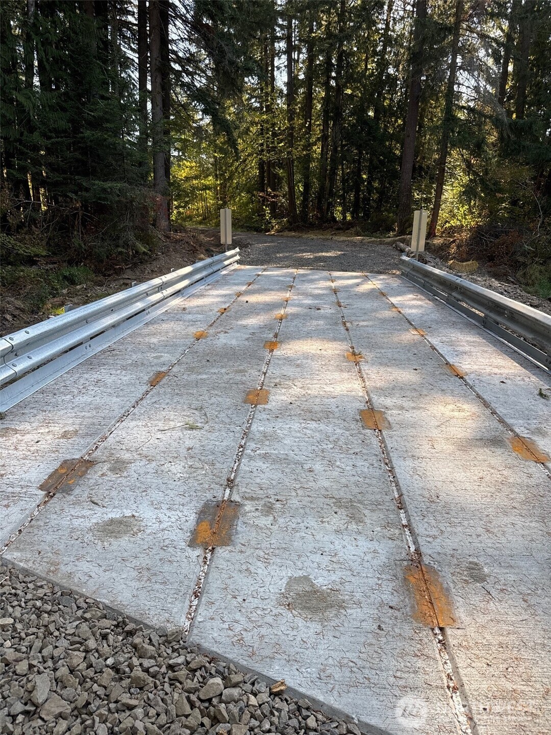 0 Mineral Creek Road Property Photo 9