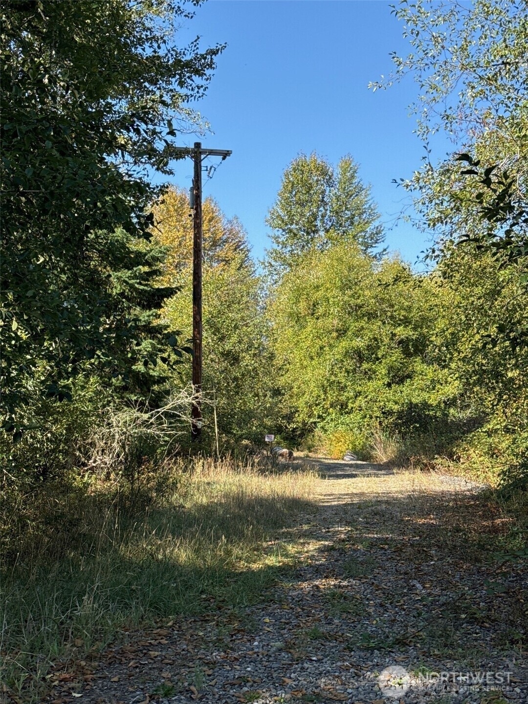 0 Mineral Creek Road Property Photo 11