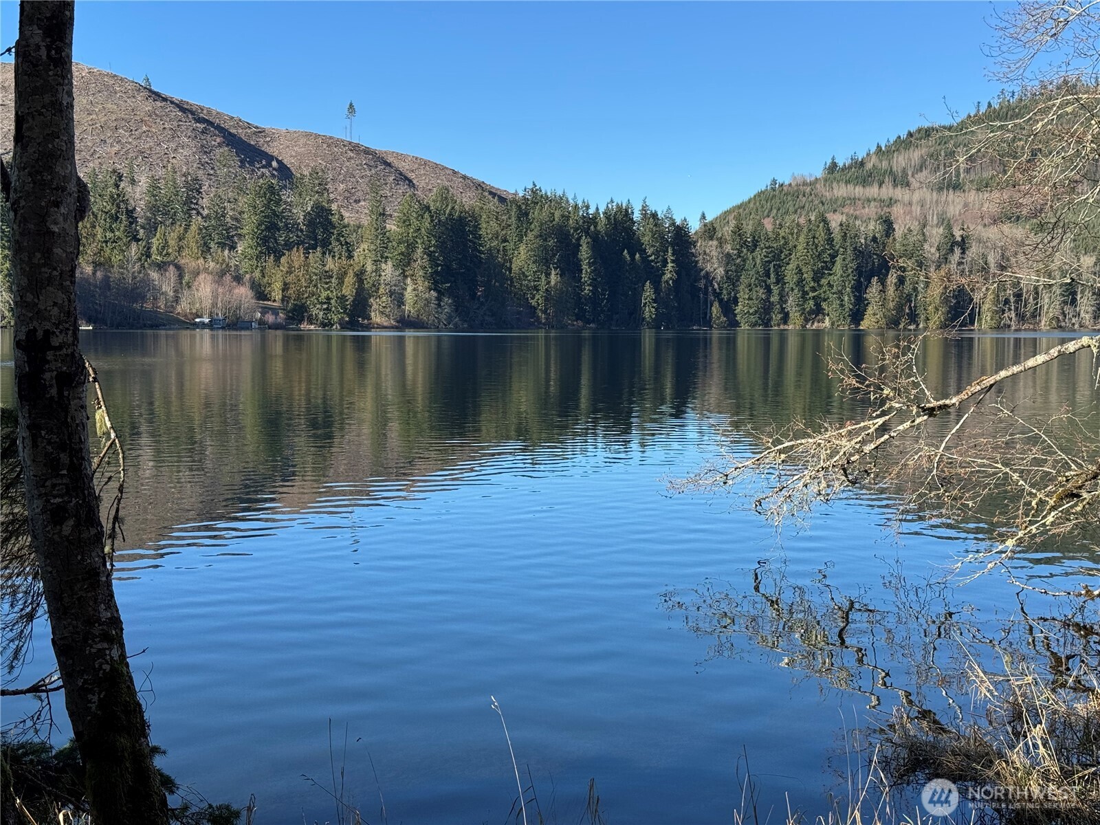 0 Mineral Creek Road Property Photo 12