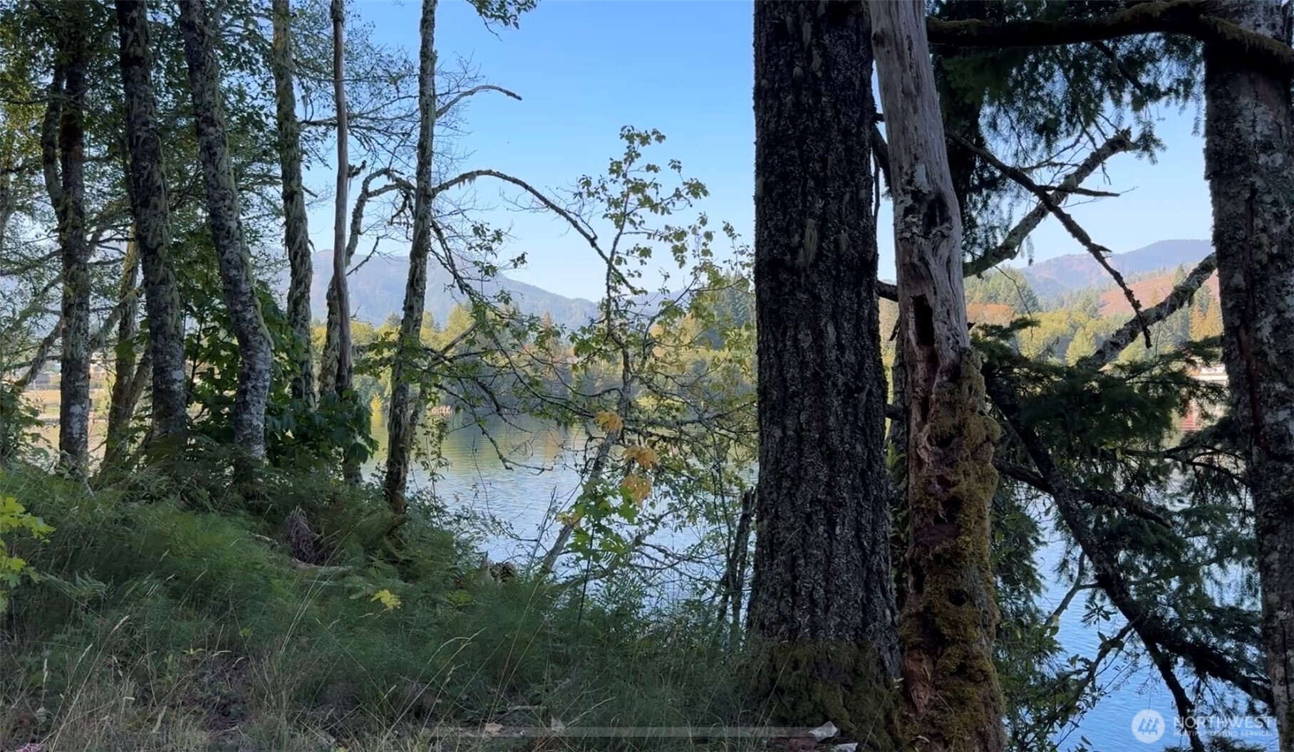 0 Mineral Creek Road Property Photo 14