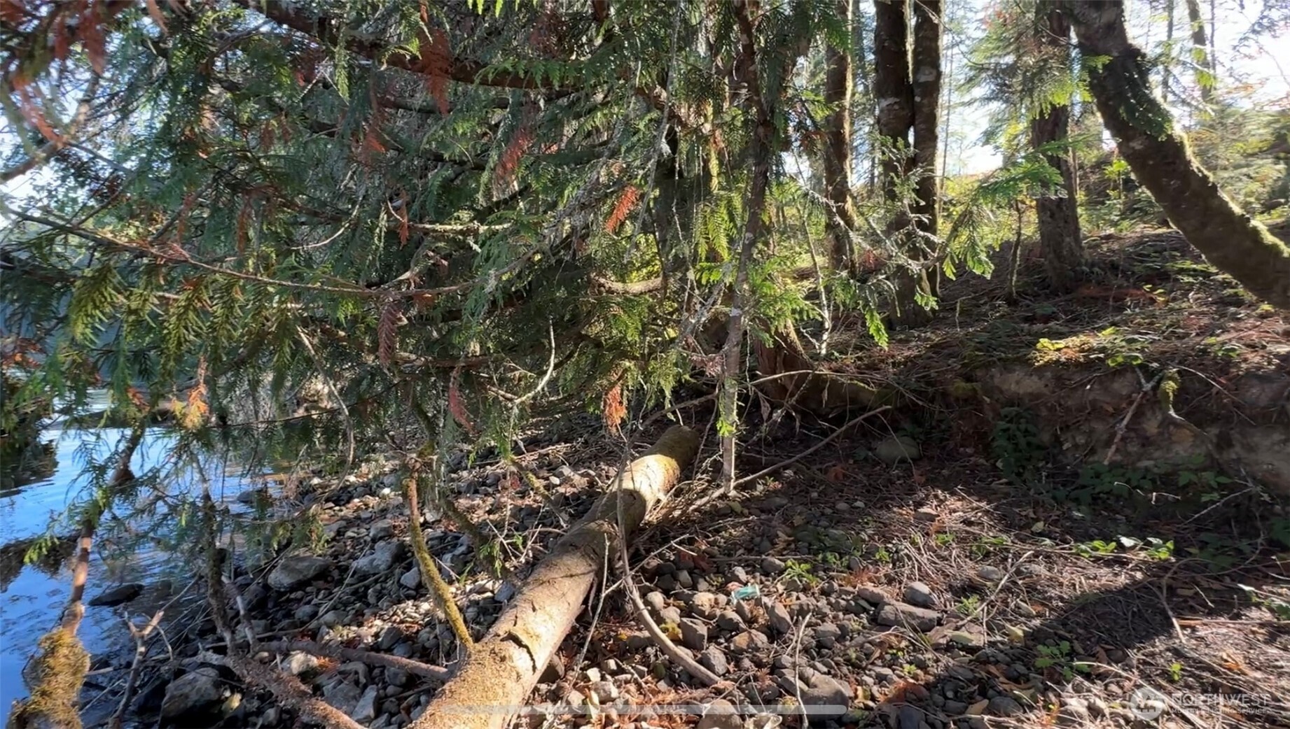 0 Mineral Creek Road Property Photo 15