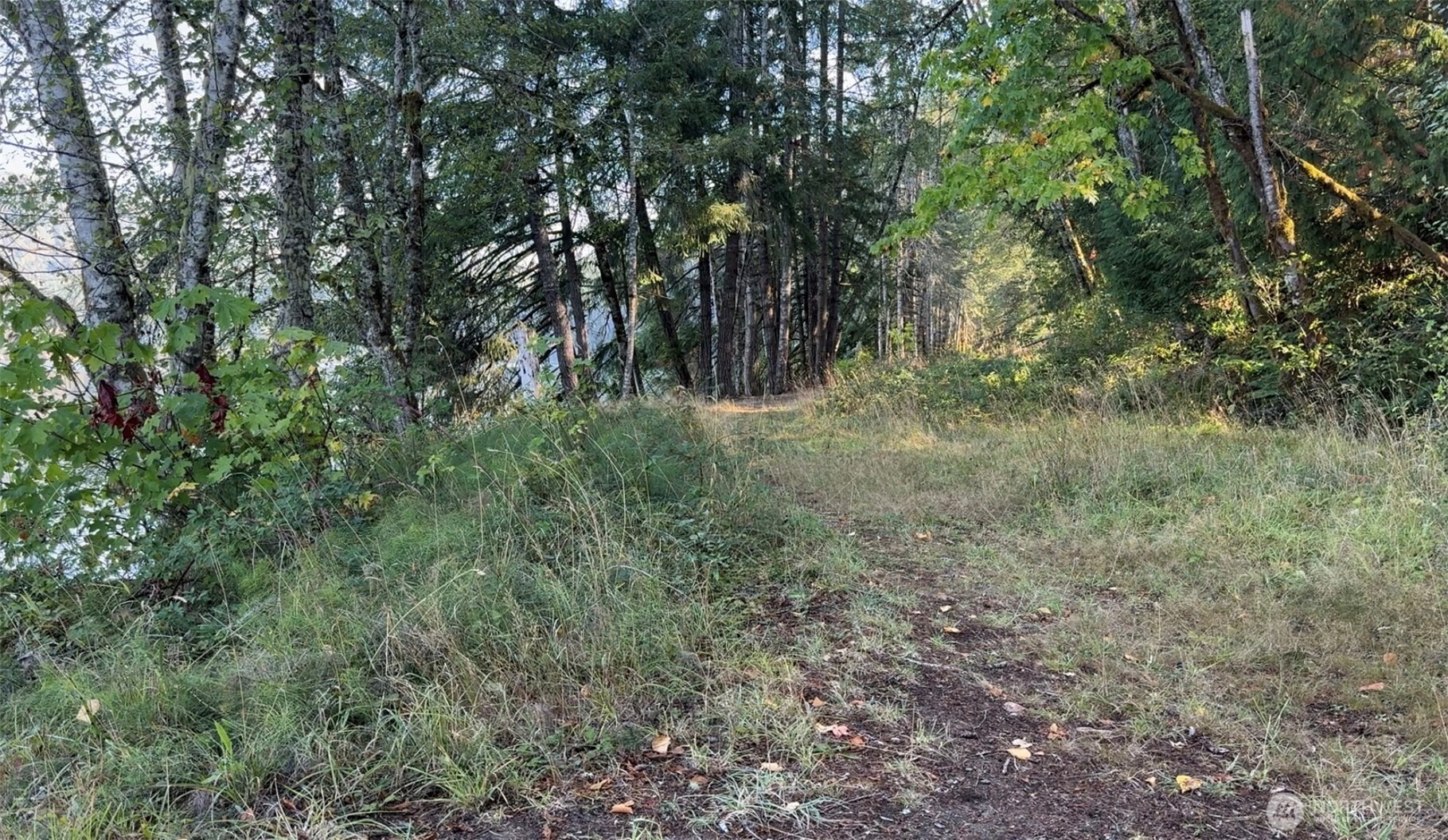 0 Mineral Creek Road Property Photo 16
