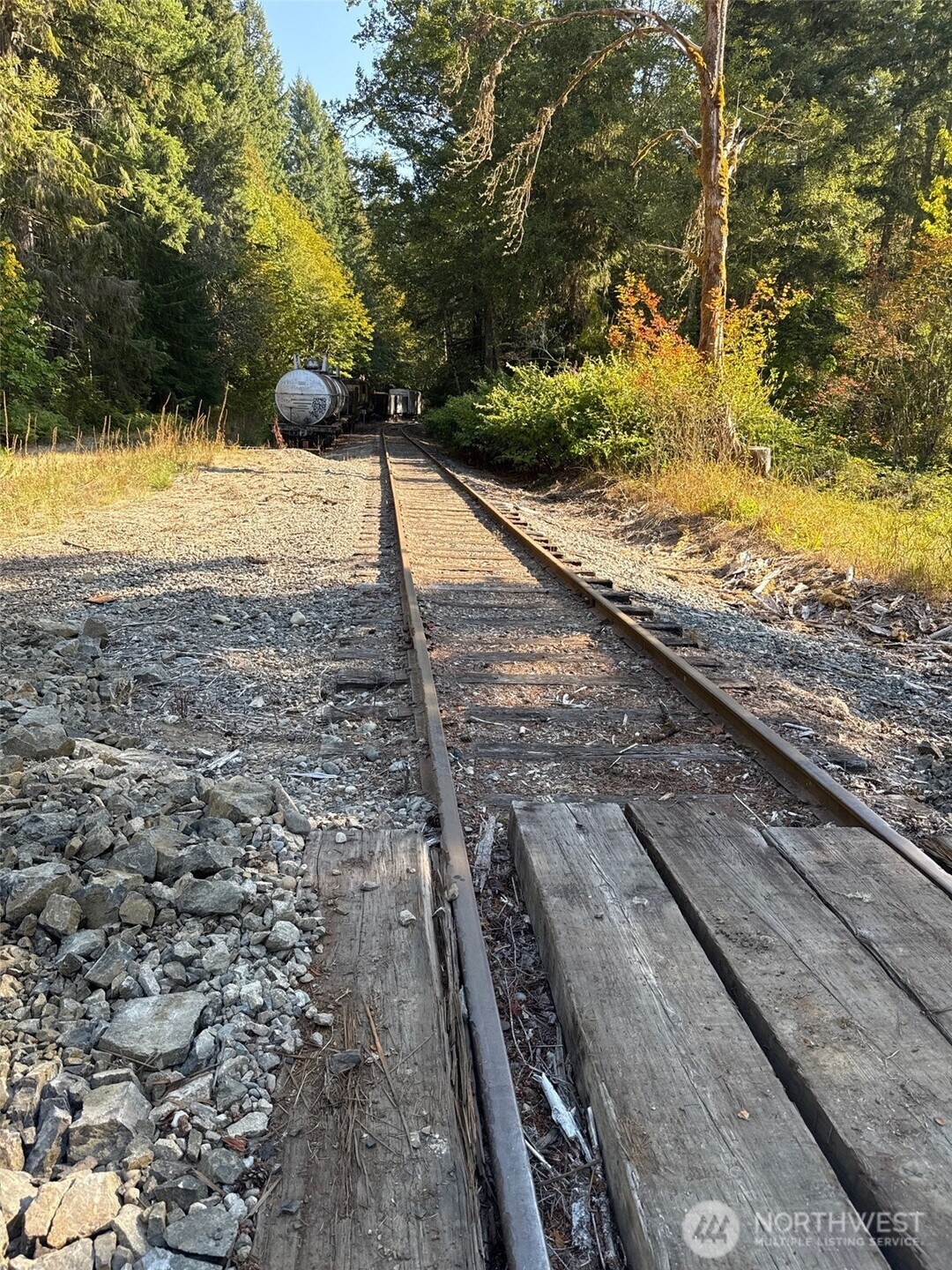 0 Mineral Creek Road Property Photo 19