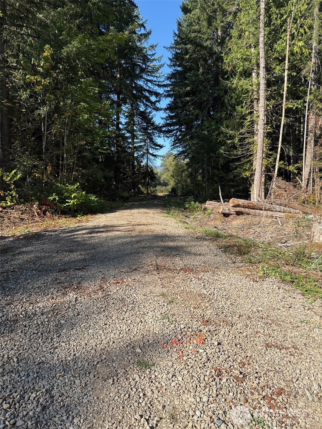 0 Mineral Creek Road Property Photo 21