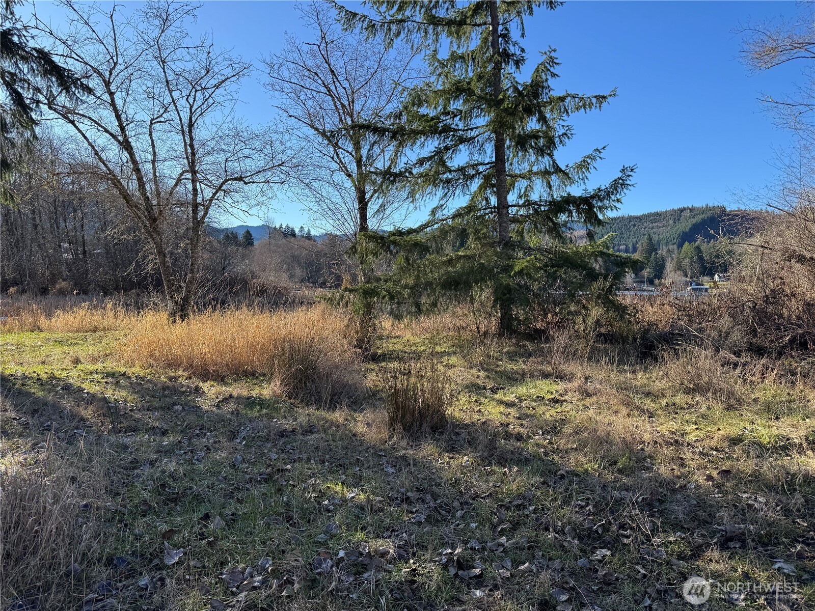 0 Mineral Creek Road Property Photo 25