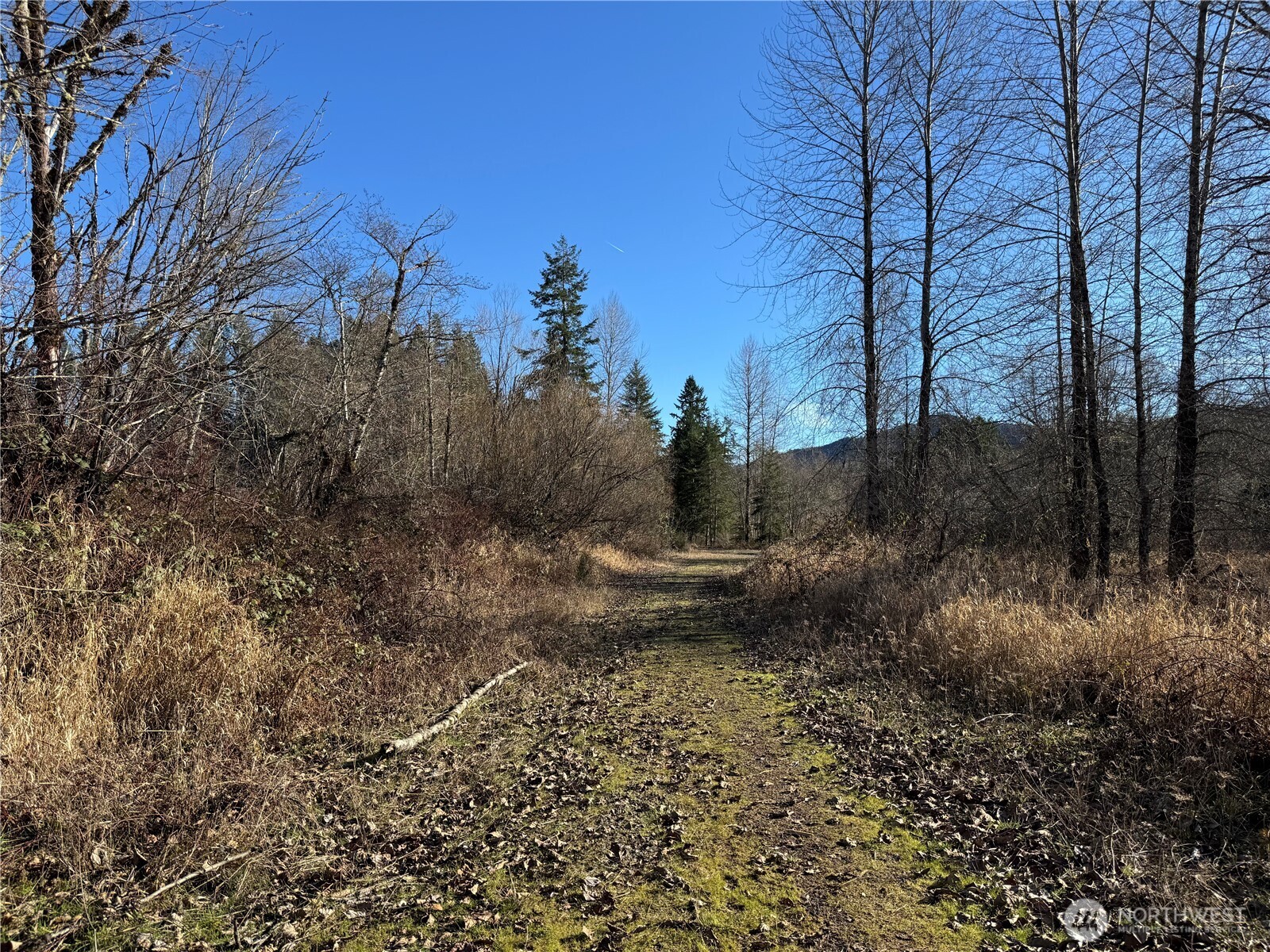 0 Mineral Creek Road Property Photo 26