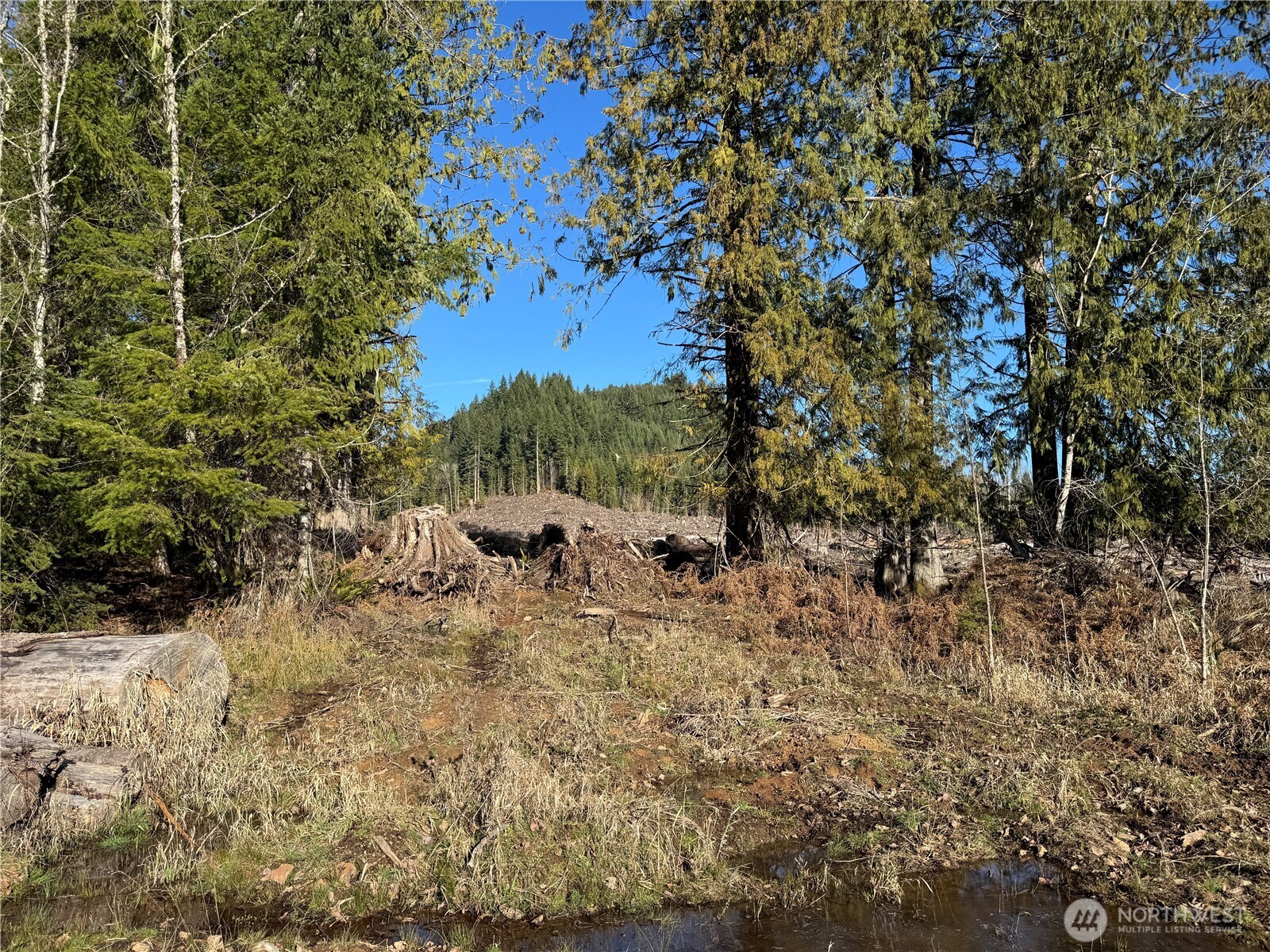 0 Mineral Creek Road Property Photo 27