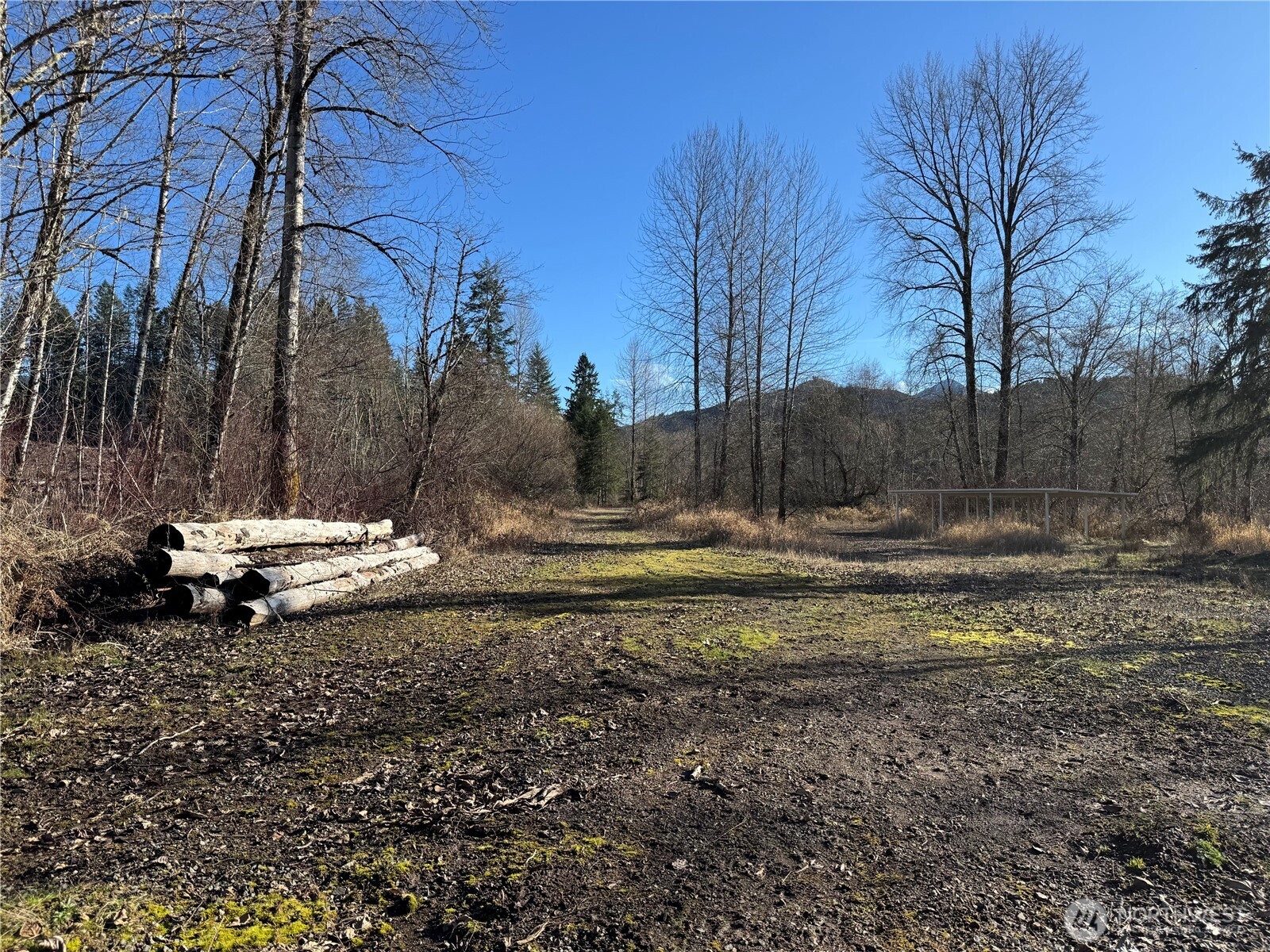 0 Mineral Creek Road Property Photo 28