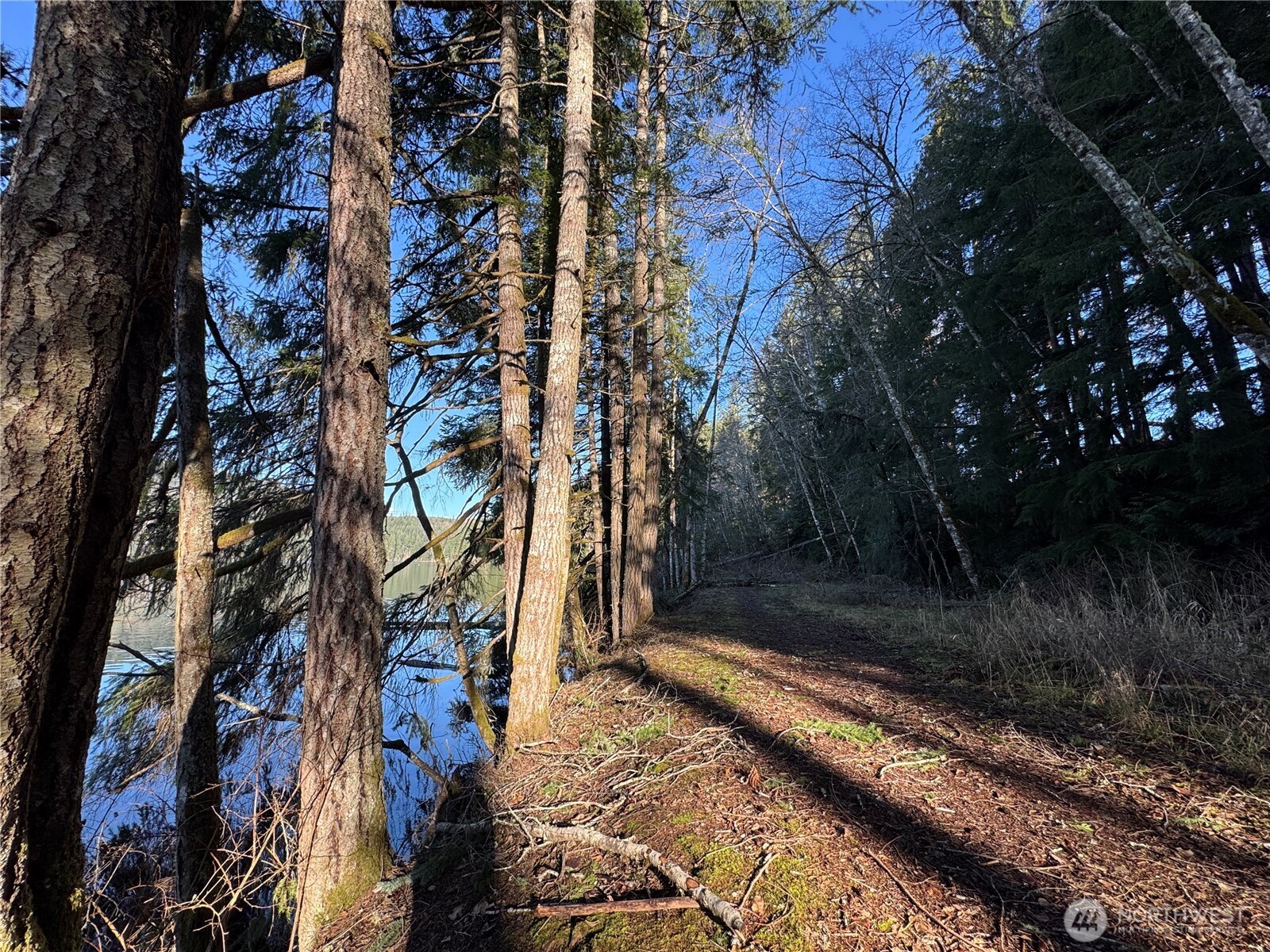 0 Mineral Creek Road Property Photo 30