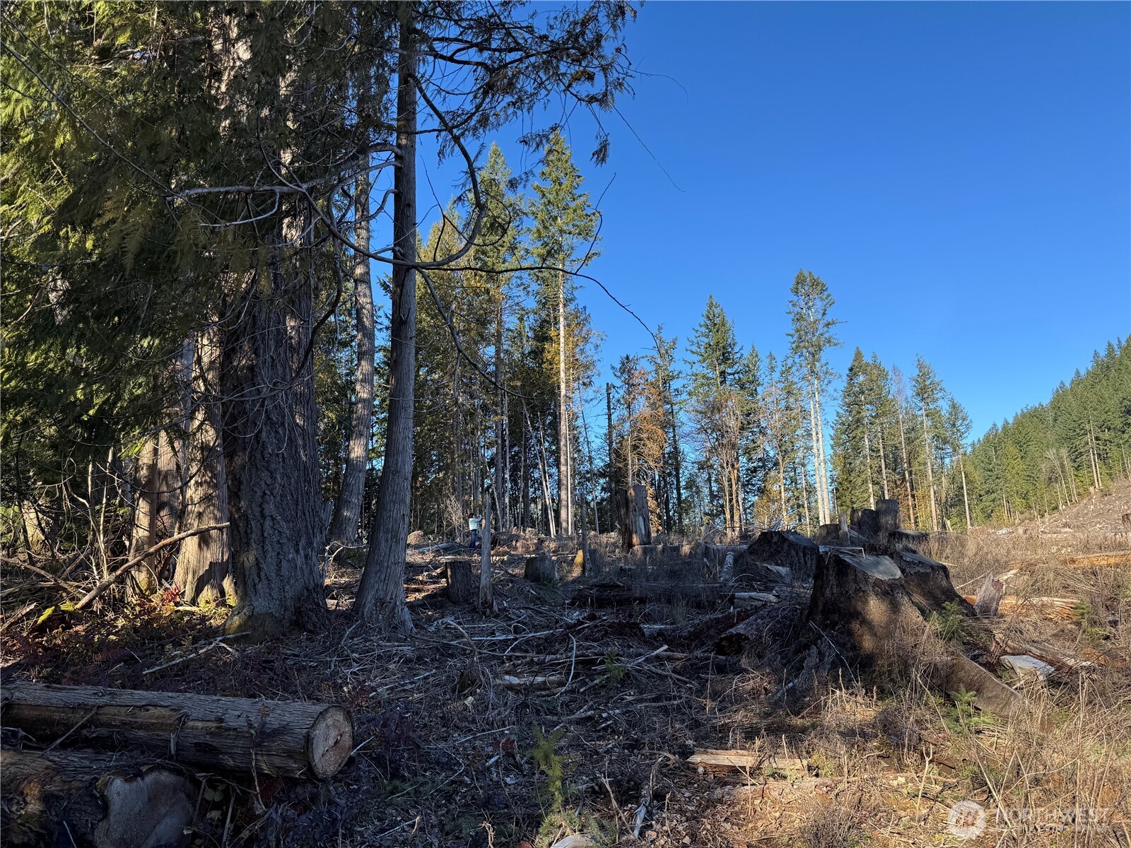 0 Mineral Creek Road Property Photo 32