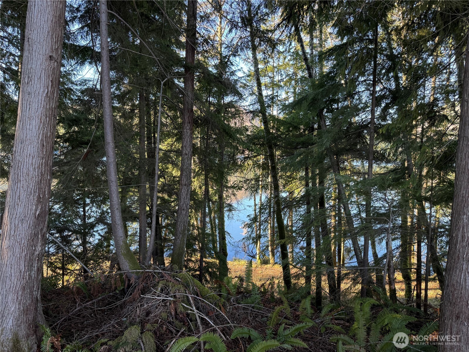 0 Mineral Creek Road Property Photo 33
