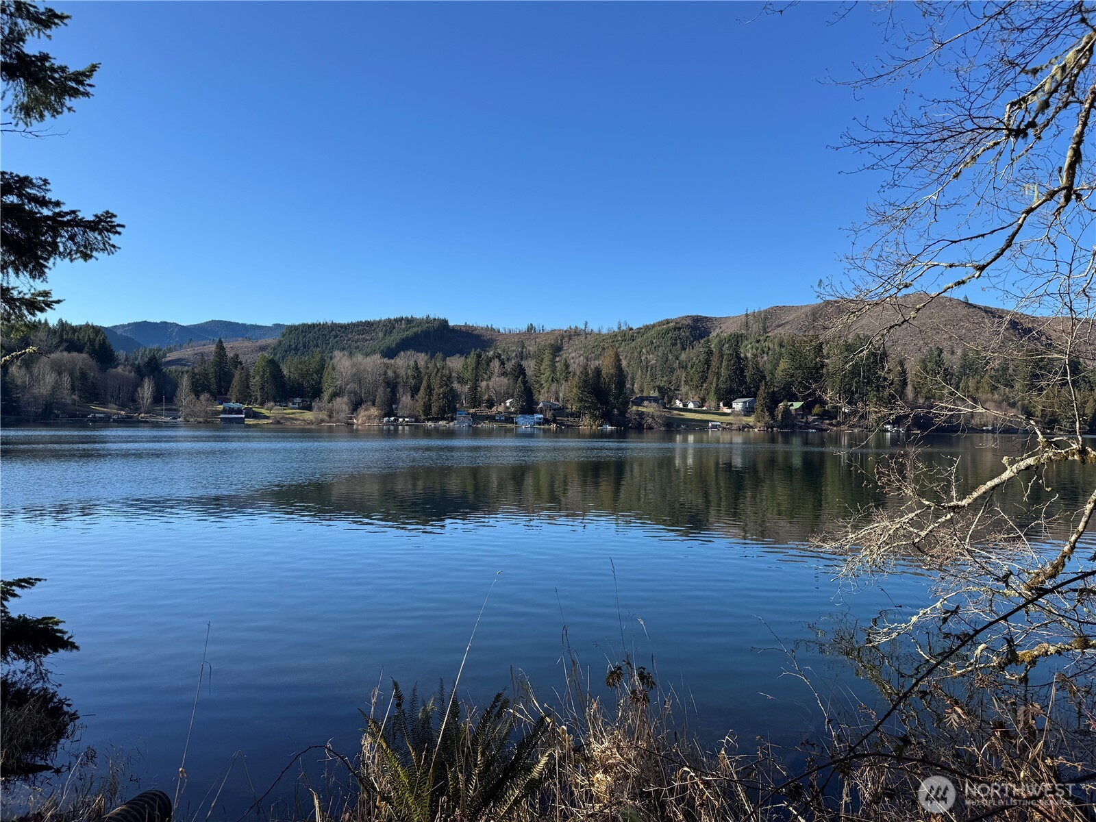 0 Mineral Creek Road Property Photo 37