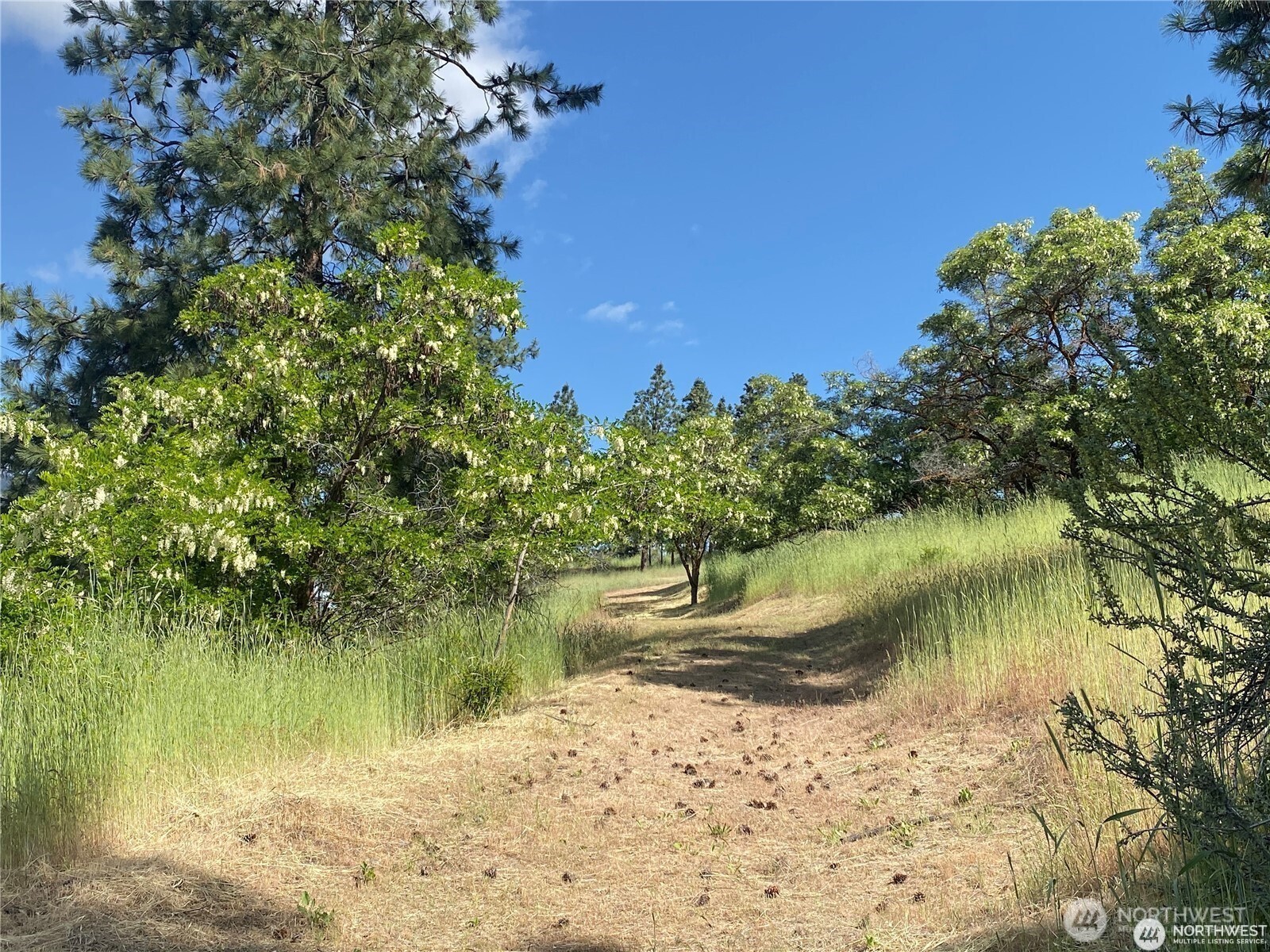 2524 Lakeshore Drive Property Photo 6