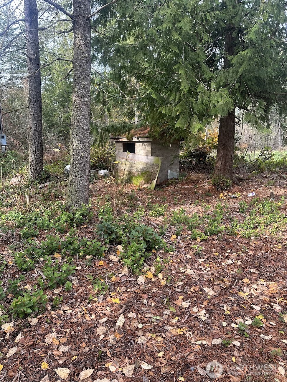 15818 153rd Avenue Property Photo 4