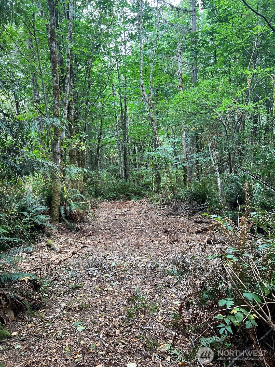 1 Xx Scenic Drive Property Photo 3