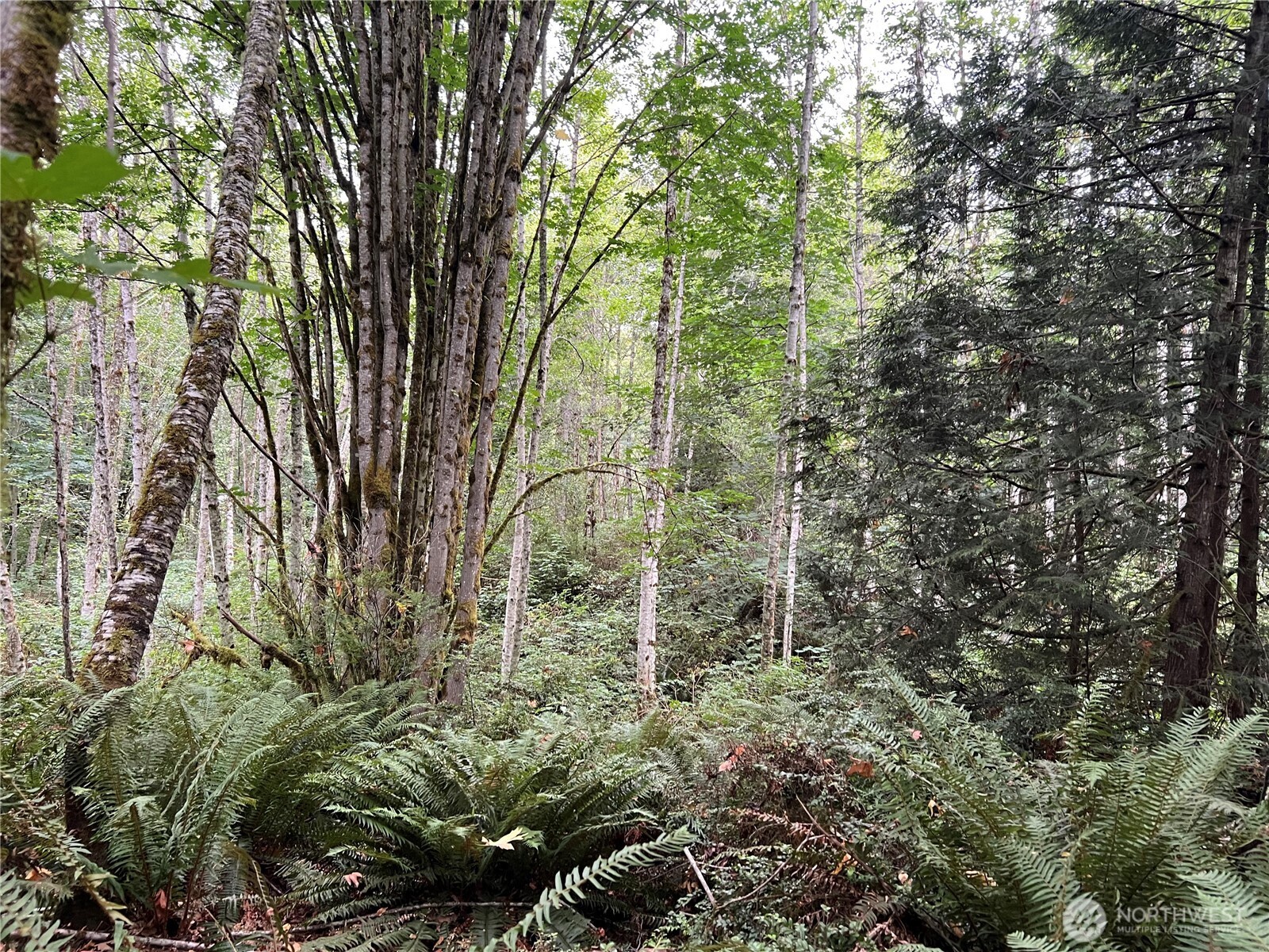 1 Xx Scenic Drive Property Photo 4