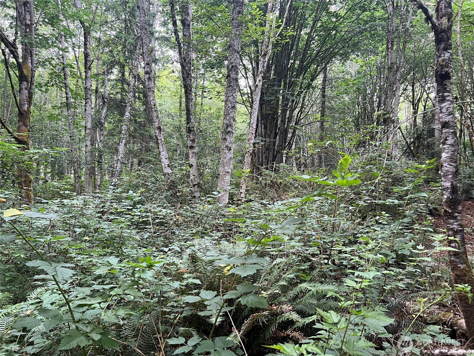 1 Xx Scenic Drive Property Photo 7