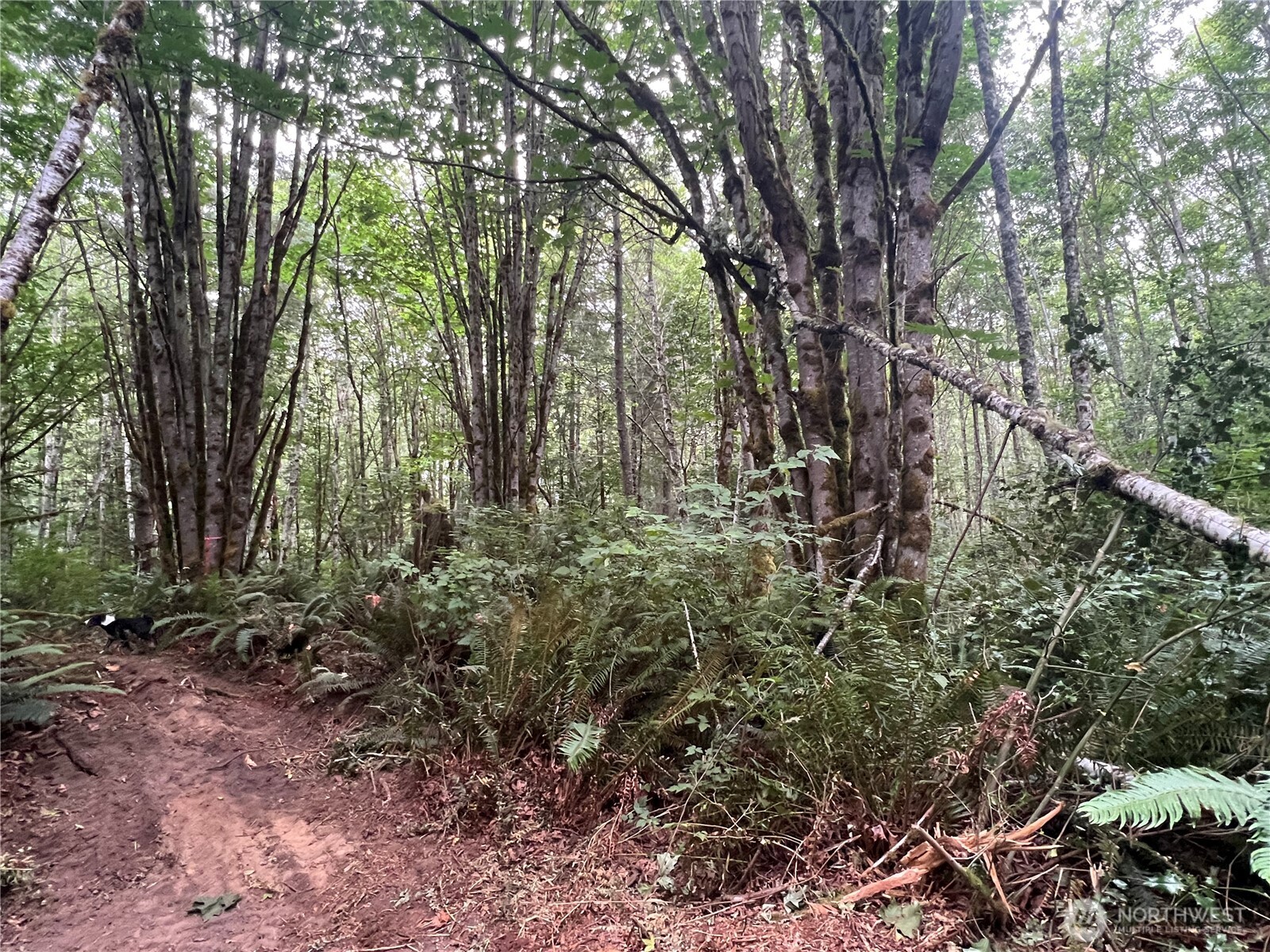 1 Xx Scenic Drive Property Photo 10