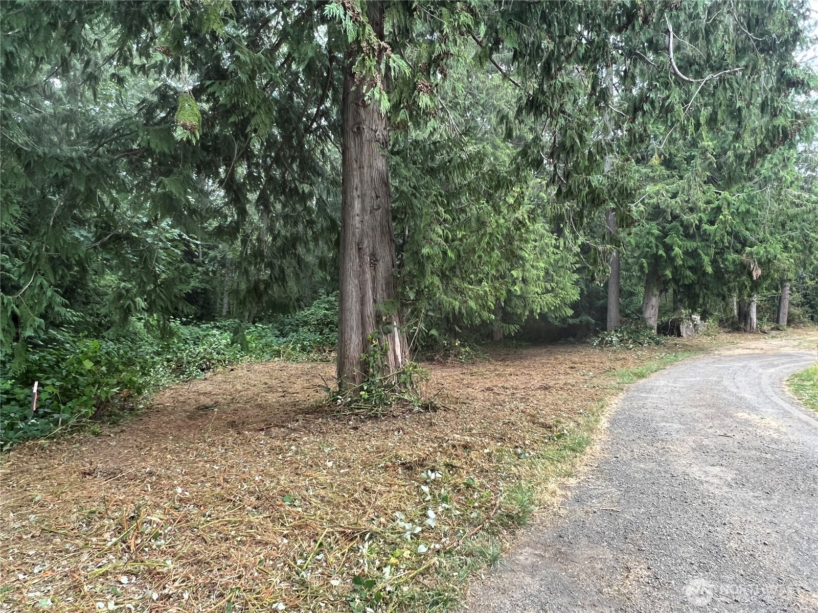 1 Xx Scenic Drive Property Photo 16