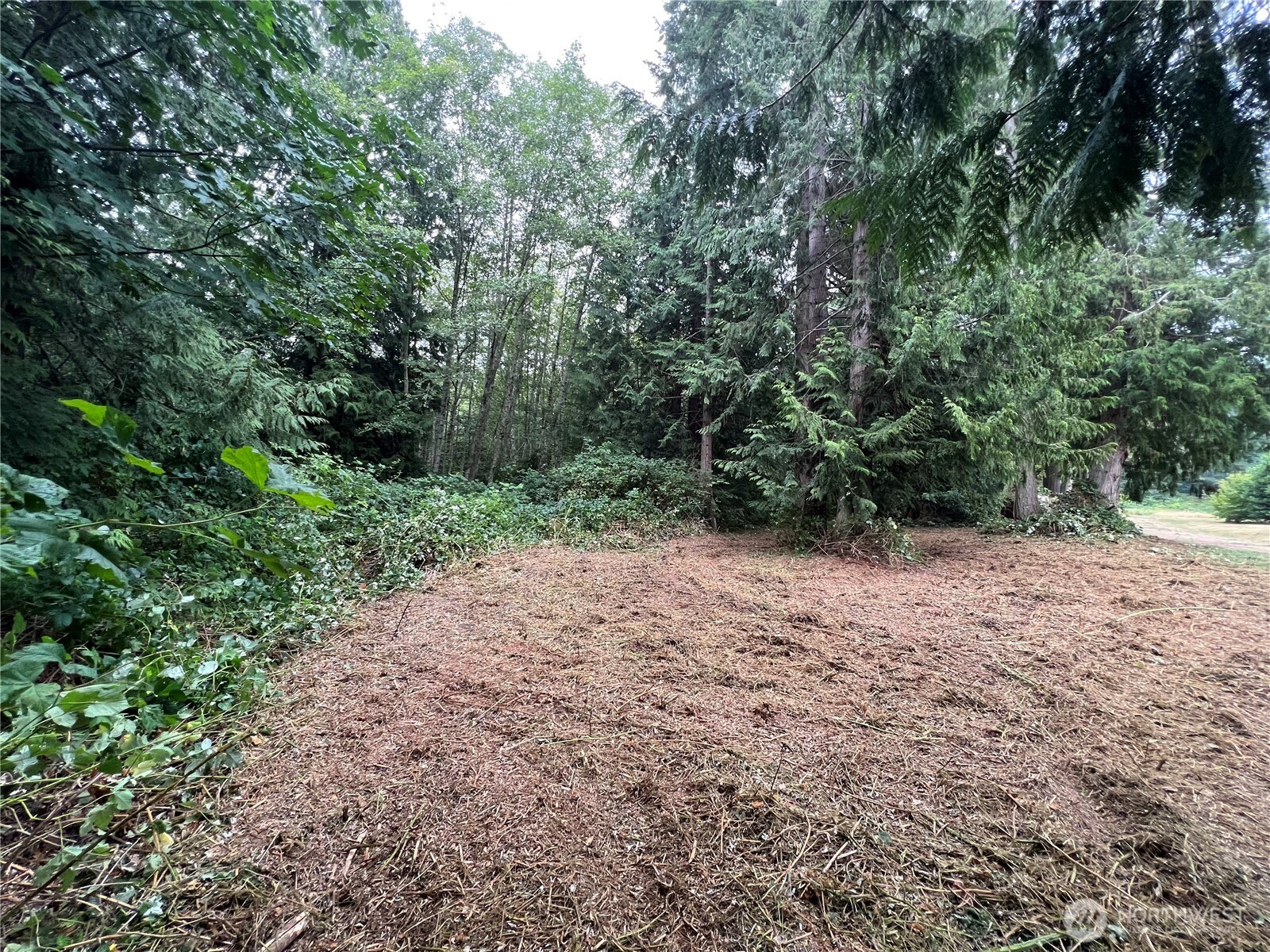 1 Xx Scenic Drive Property Photo 17