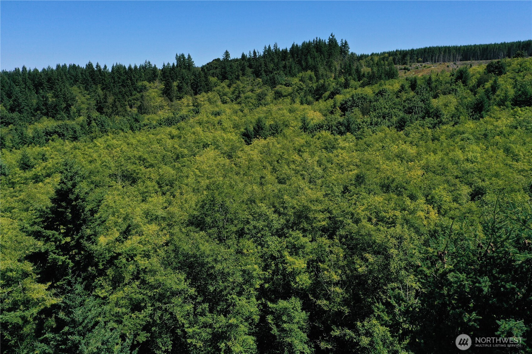 1 Xx Scenic Drive Property Photo 18