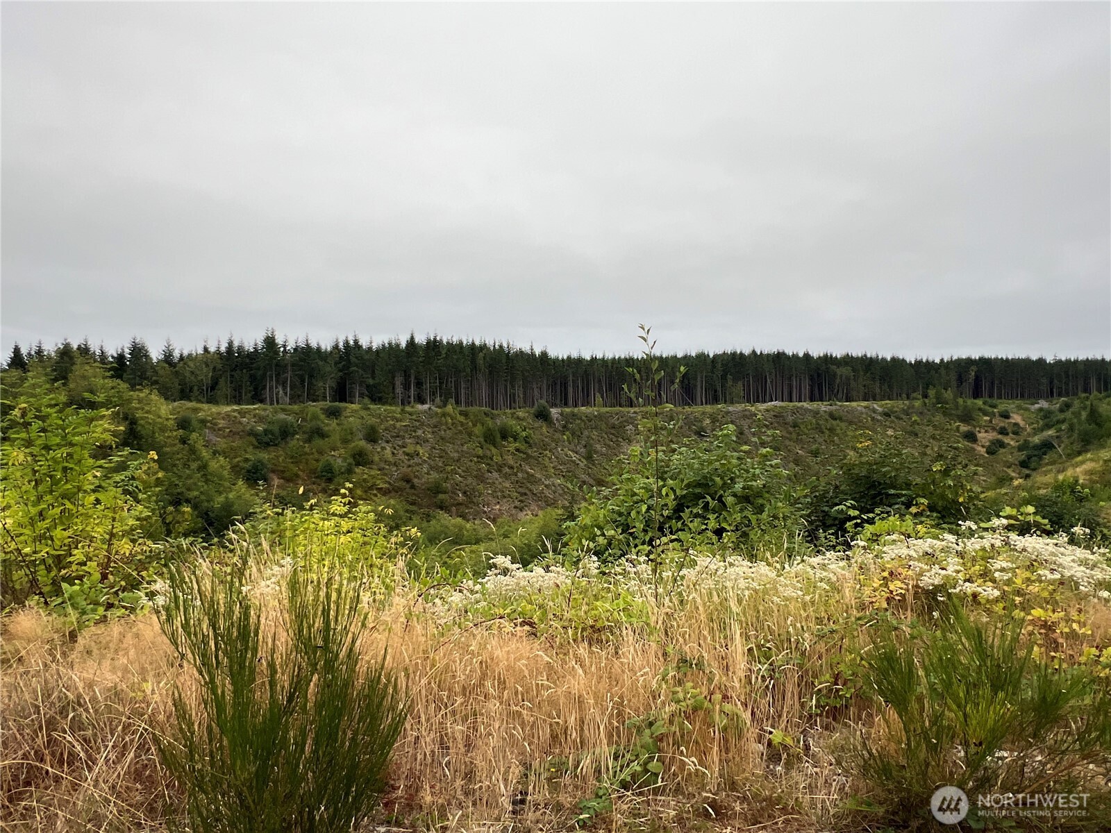 1 Xx Scenic Drive Property Photo 19