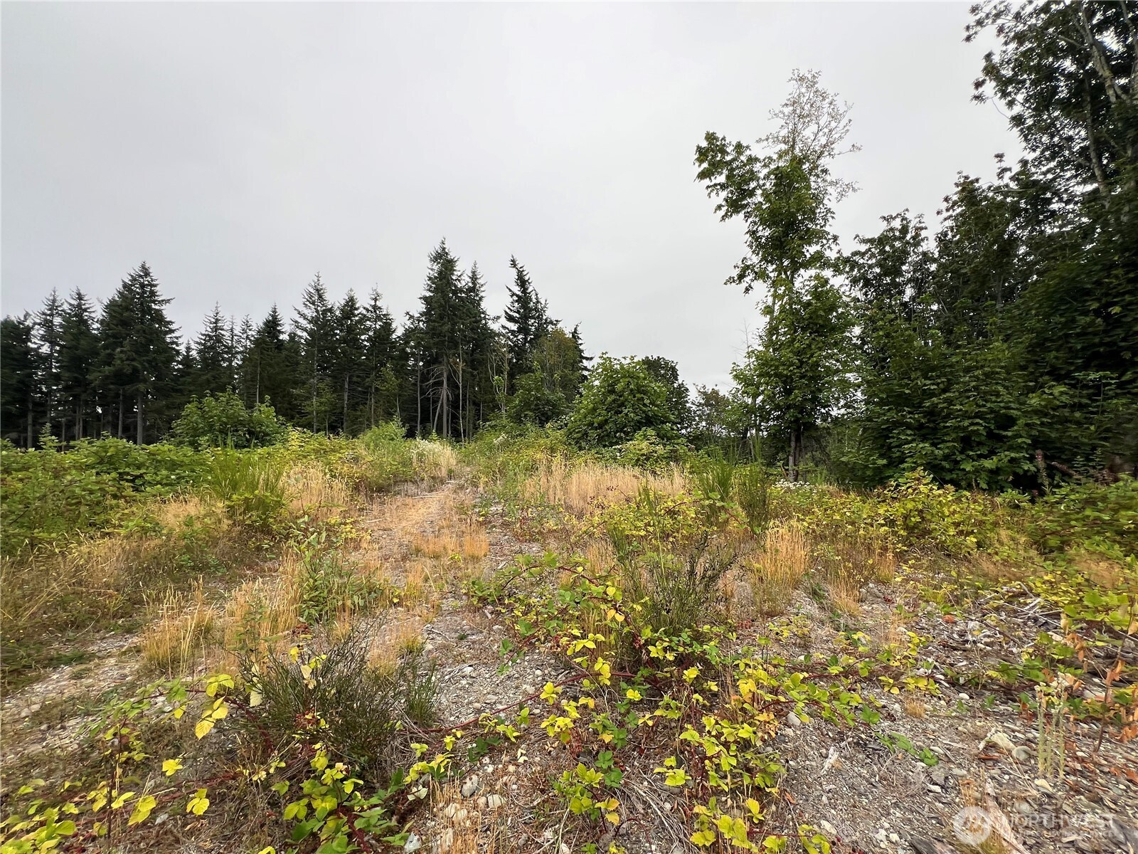 1 Xx Scenic Drive Property Photo 20