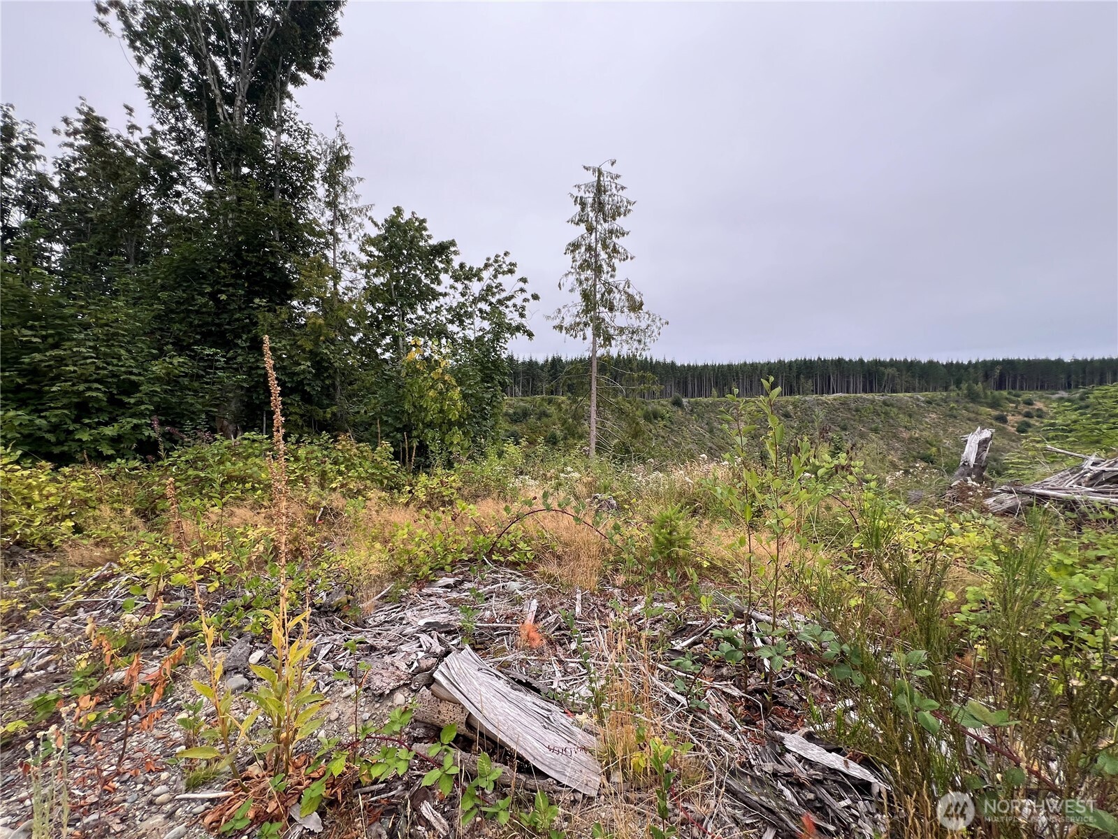 1 Xx Scenic Drive Property Photo 21