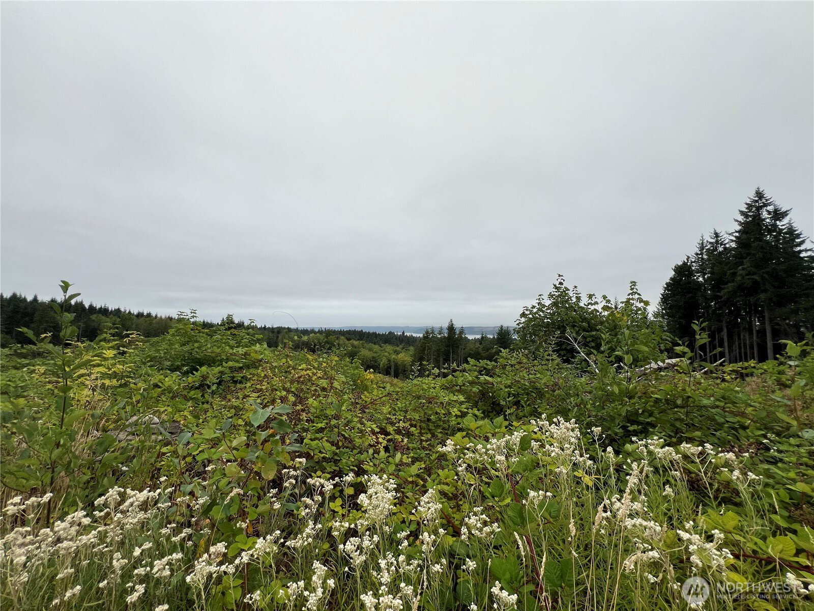 1 Xx Scenic Drive Property Photo 22