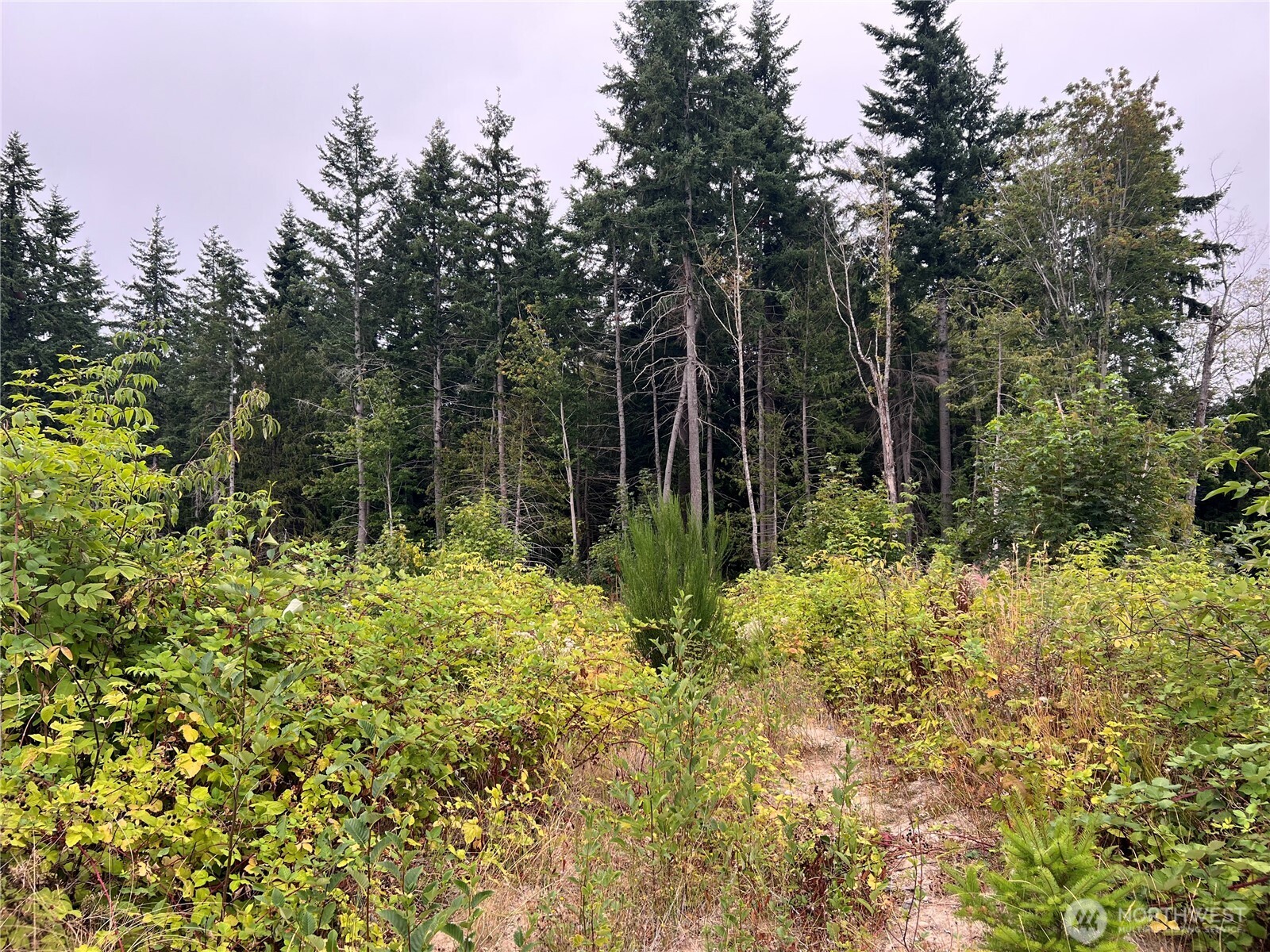 1 Xx Scenic Drive Property Photo 23