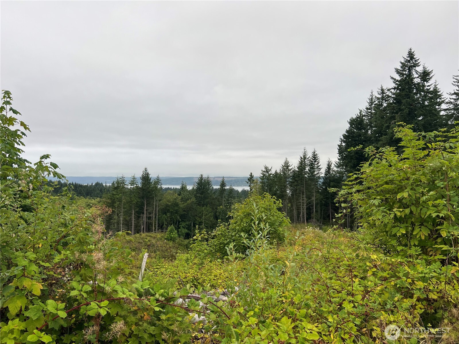 1 Xx Scenic Drive Property Photo 24