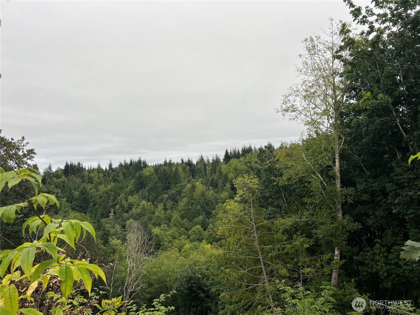 1 Xx Scenic Drive Property Photo 25