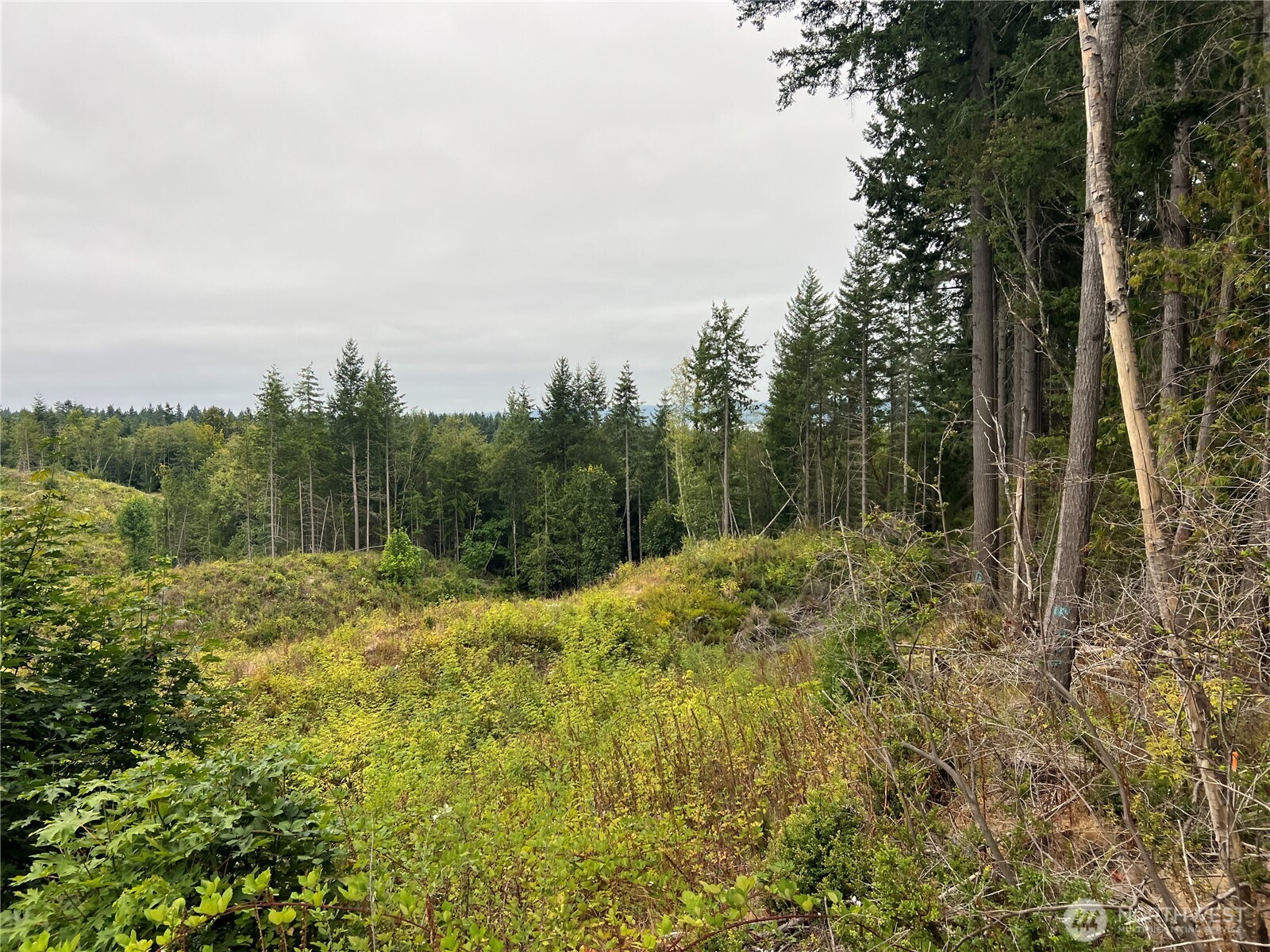 1 Xx Scenic Drive Property Photo 28