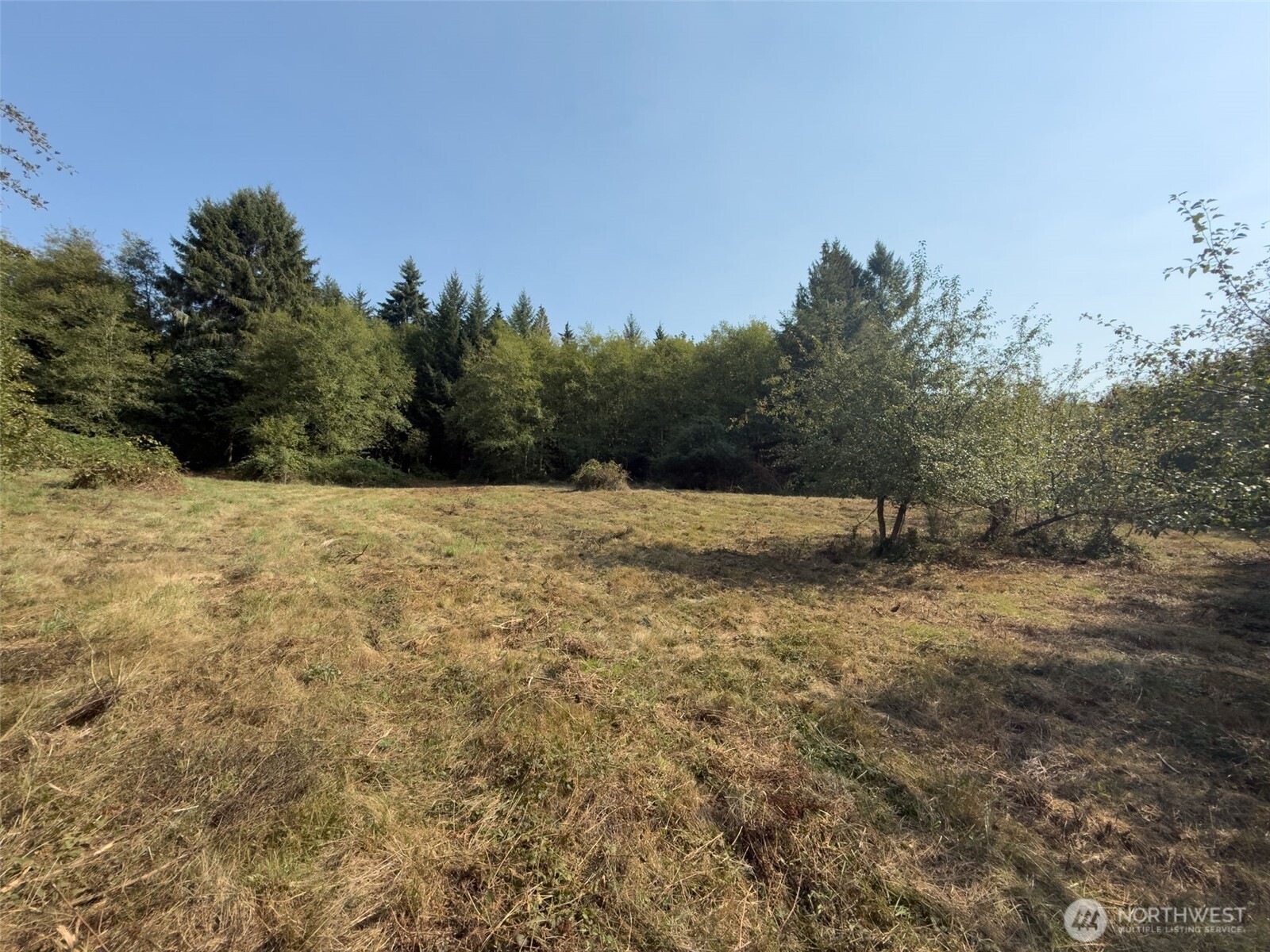 104 Bills Lane Property Photo 19