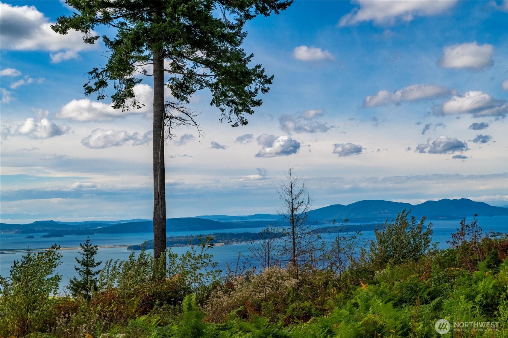3120 Blanchard Knob Trail Property Photo 18