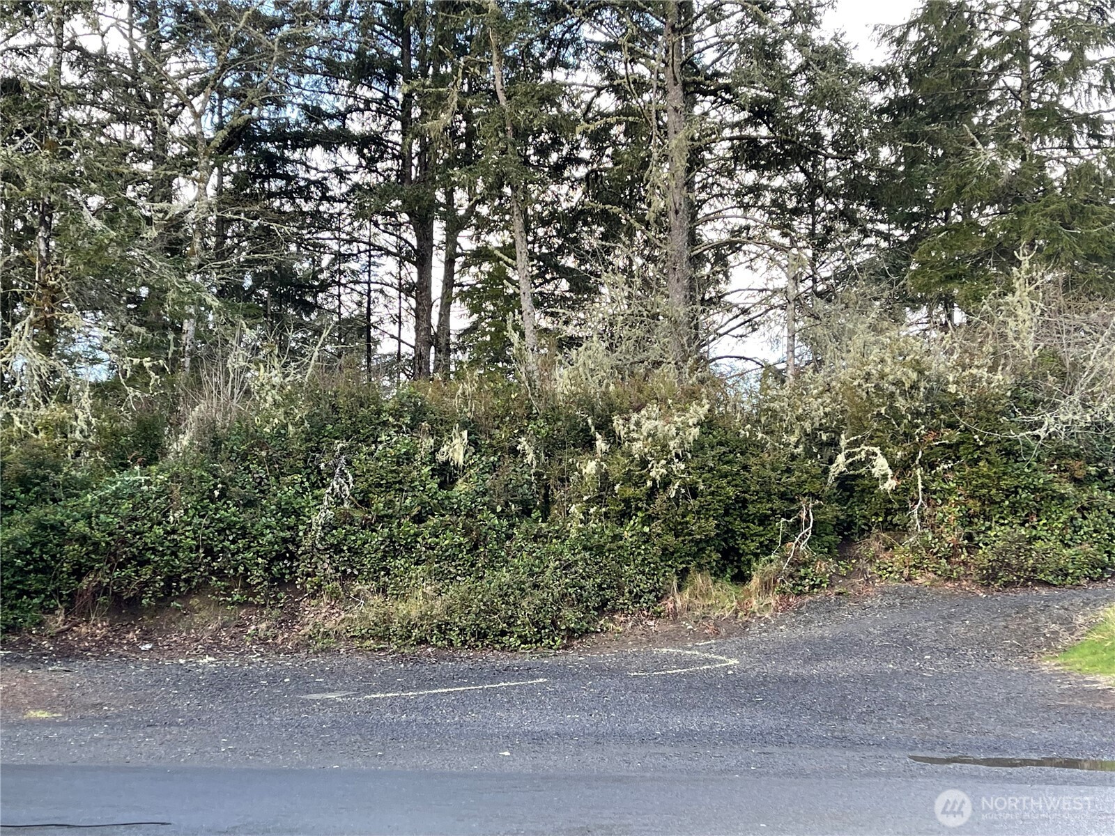 653 Sunset Avenue Property Photo 4