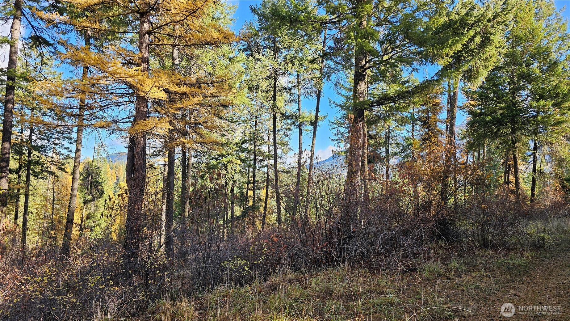 700 L Dry Gulch Road Property Photo 1