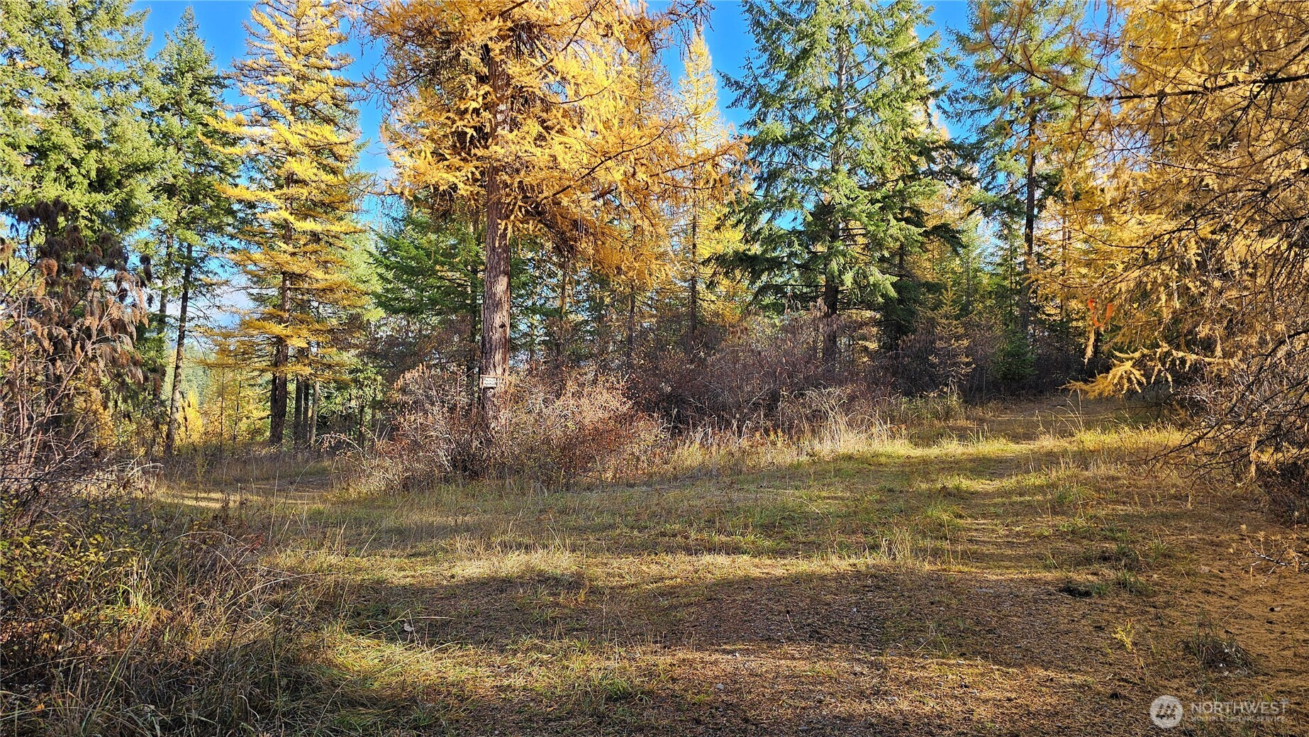 700 L Dry Gulch Road Property Photo 2