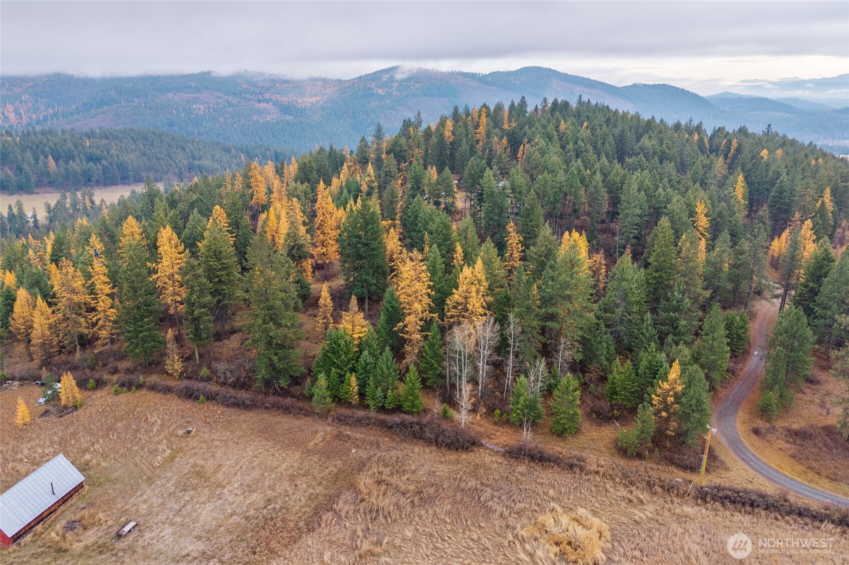700 L Dry Gulch Road Property Photo 3